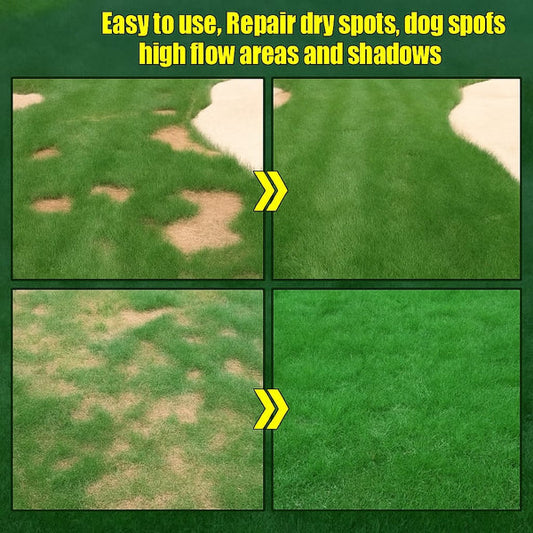 ☘️Evergreen dwarf grass seed for four seasons🏡