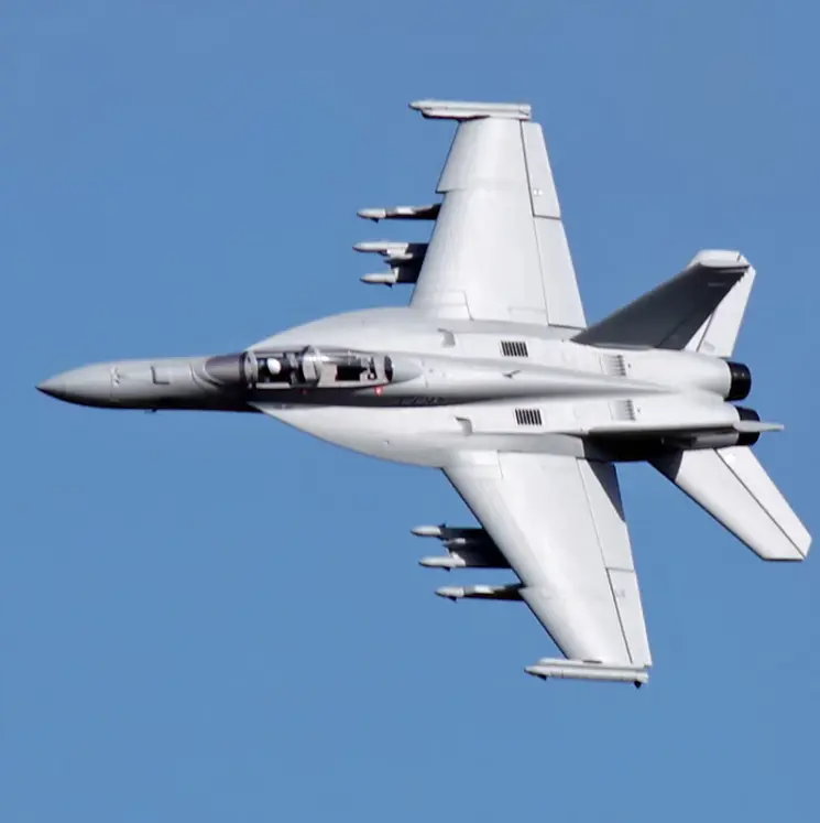 💥Black Friday Sale 50% OFF🔥FMS J31 Jet Fighter Stunt RC Airplane