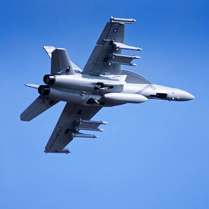 💥Black Friday Sale 50% OFF🔥FMS J31 Jet Fighter Stunt RC Airplane