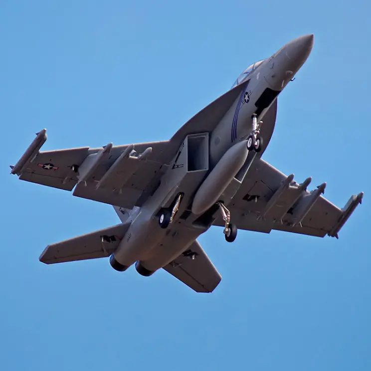 💥Black Friday Sale 50% OFF🔥FMS J31 Jet Fighter Stunt RC Airplane