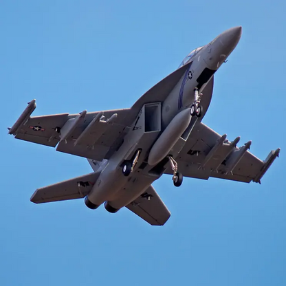 💥Black Friday Sale 50% OFF🔥FMS J31 Jet Fighter Stunt RC Airplane