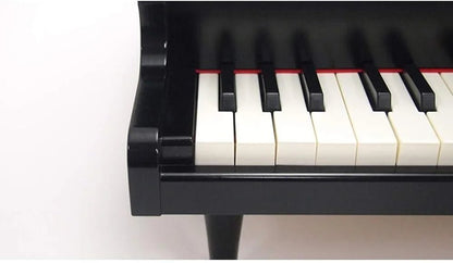🔥Big Promotion 49% OFF🎁Children's Early Education Grand Piano - stavogue