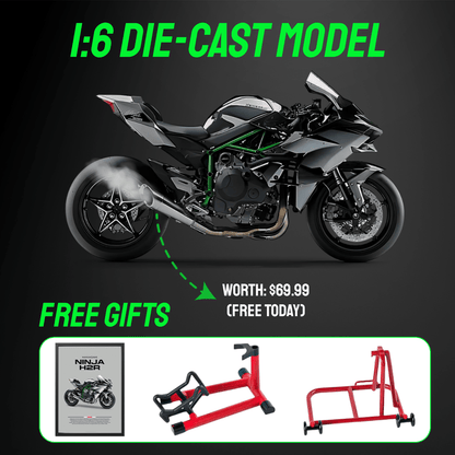🔥Big Promotion 49% OFF💥Premium Motorcycle Models🏍️ - stavogue