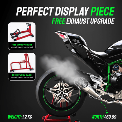 🔥Big Promotion 49% OFF💥Premium Motorcycle Models🏍️ - stavogue