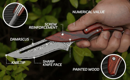 🔥Limited Time 50% OFF🔥Damascus steel camping knife, multi - functional knife, suitable for camping barbecue cooking - stavogue