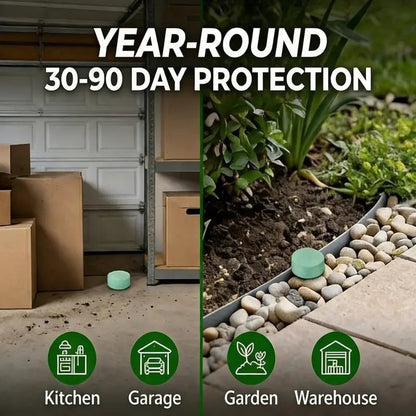 Natural Rodent Repellent Balls ,Effectively eliminates rodent pests Long - lasting effectiveness - stavogue