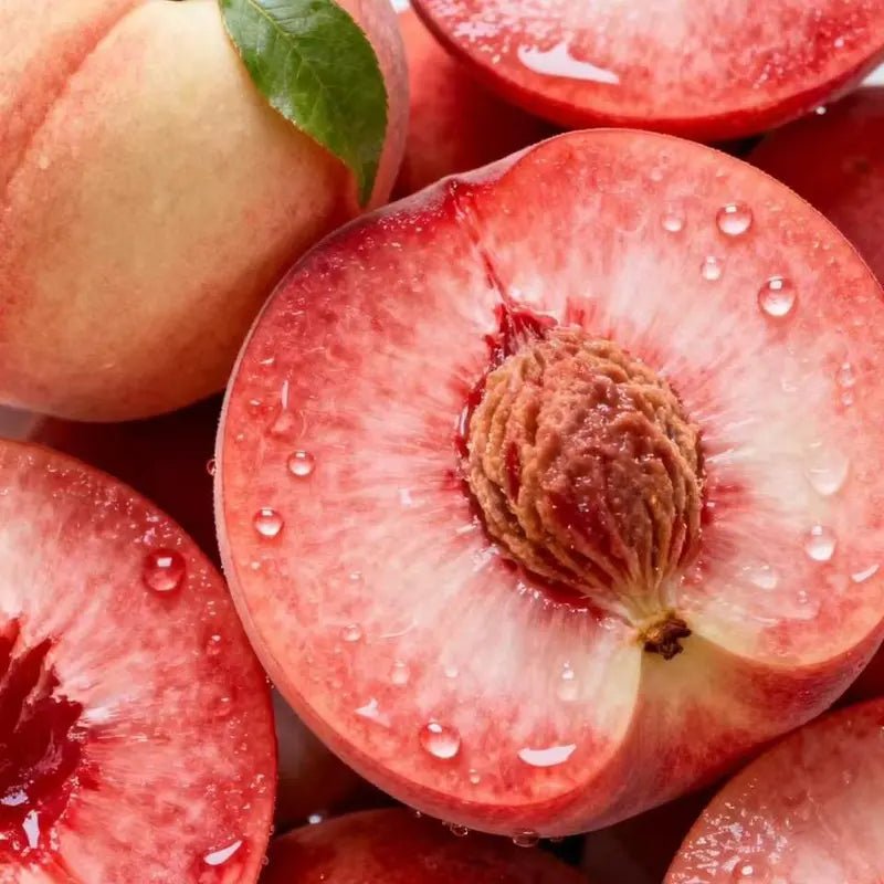 🔥Summer Special Sale🍑Sweet Honey Peach Tree Sapling，Ready - to - Plant for Home Garden（90% survival rate）🌱 - stavogue