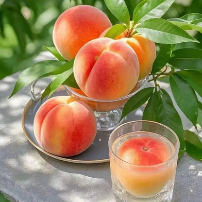 🔥Summer Special Sale🍑Sweet Honey Peach Tree Sapling，Ready - to - Plant for Home Garden（90% survival rate）🌱 - stavogue