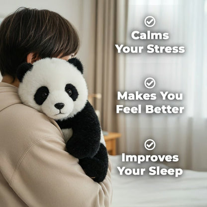 🐼THE PANDY– Emotional Healing on Demand 🌈 - stavogue