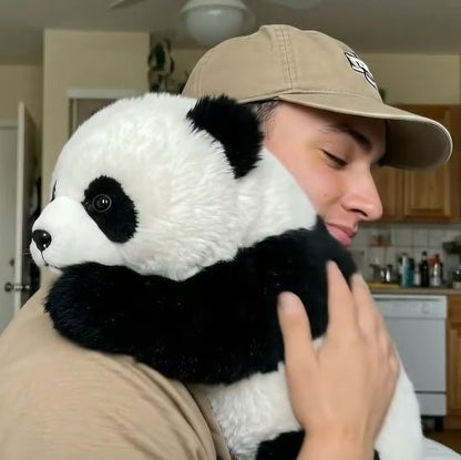 🐼THE PANDY– Emotional Healing on Demand 🌈 - stavogue