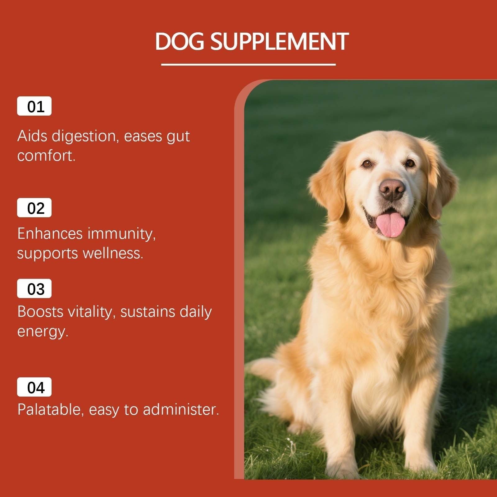 Turkey Tail - Dog Food Topper with Probiotics for Lipomas, Immune Support & Gut Health - 75 Servings - Bacon Flavor - Supplements - stavogue
