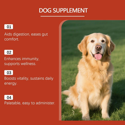 Turkey Tail - Dog Food Topper with Probiotics for Lipomas, Immune Support & Gut Health - 75 Servings - Bacon Flavor - Supplements - stavogue